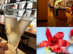 -深圳罗湖木棉花凯悦尚选酒店•大堂吧
