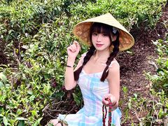-美的鹭湖森林度假区