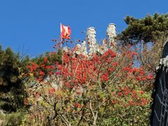 -泰山风景名胜区