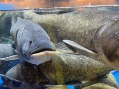 -炊江南·上海菜(国展华漕店)