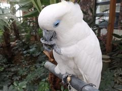 -南宫五洲植物乐园