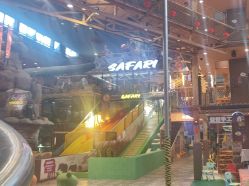 -卡通尼·Safari非洲探索乐园·生日会(金桥国际商业广场店)