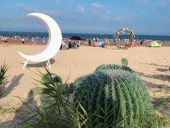 -日照海滨国家森林公园
