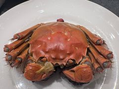 -龙宴海鲜城(经中路店)