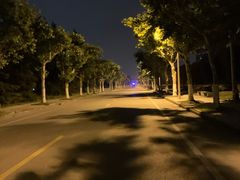 -同济大学(嘉定校区)