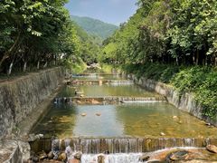 -广州白江湖森林公园