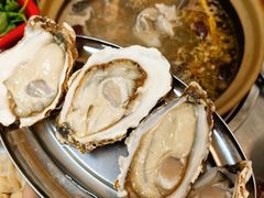 -楠波炭炉鸡煲馆(桥北店)