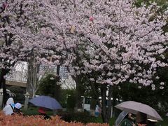 -堤角公园