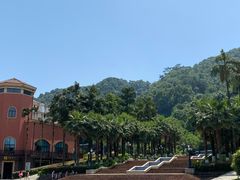 -重庆海昌加勒比海水世界