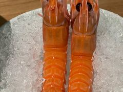 -初花·日本料理