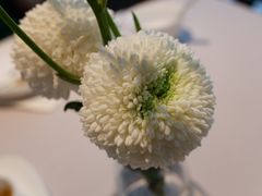 -屋里厢上海菜馆
