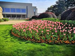 -中共上海市委党校 上海行政学院