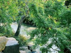 -塔川景区
