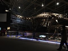 -世界恐龙谷景区