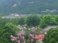 -泰山风景名胜区-虎山公园