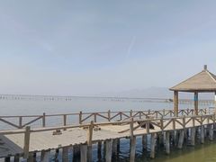 -哈素海