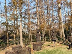 -上海长兴岛郊野公园