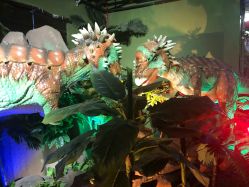 -恐龙探索乐园(磁器口店)