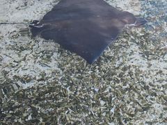 -珠海长隆海洋王国
