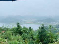 -横岗山森林公园
