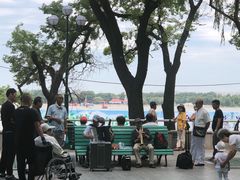 -荷塘月色湿地公园·向阳花洲