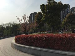 -南翔镇银翔湖公园