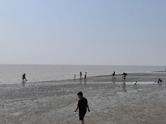 -南汇嘴观海公园