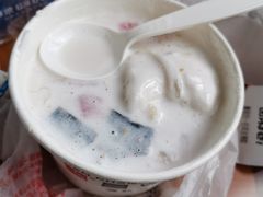 冰沙清补凉-文昌邓记清补凉(西沙路店)