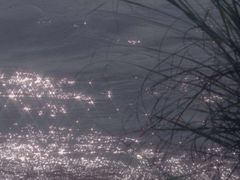 -蟹田居·活蟹料理(东城店)