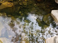 -黑龙潭风景区