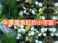 -成都欢乐谷