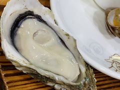 -大富蚝乌东哥饭店·石锅鱼杂·柠檬鸭(革新路店)