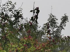 -终南山南五台景区