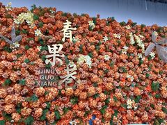 -青果巷历史文化街区