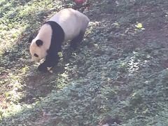景点-北京动物园