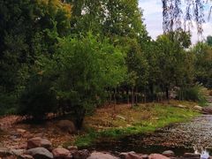 -郑州植物园