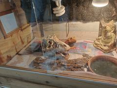 -Rabbit Cafe私房西餐甜点咖啡(栖霞路店)