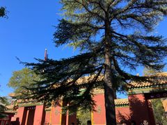 -北京国子监胡同