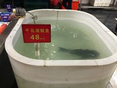 -莆鑫海鲜城(浏河店)