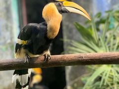 -杭州野生动物世界