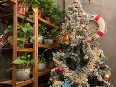 -兜兜的宠物堡(吉祥店)