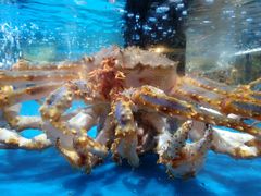 -盒马鲜生(大行宫店)