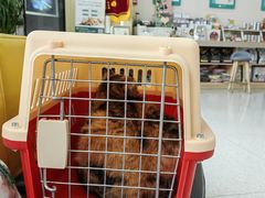 -谐和贝康宠物医院24小时·宠保定点(急重症转诊中心)