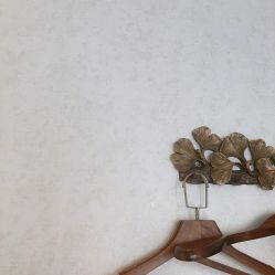 -健身堂科技美肌SPA