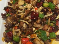 -聚乐城火锅(仁寿2023年餐饮名店)