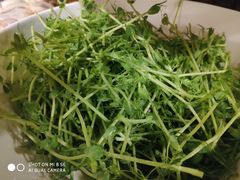 豆苗-烹然四季椰子鸡火锅(团结湖总店)