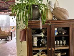 -树咖啡tree coffee