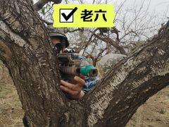 -亲兄弟真人CS团建拓展基地