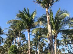 -白沙湾海滩