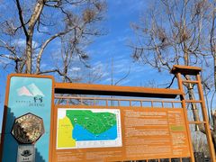 -北京鹫峰国家森林公园